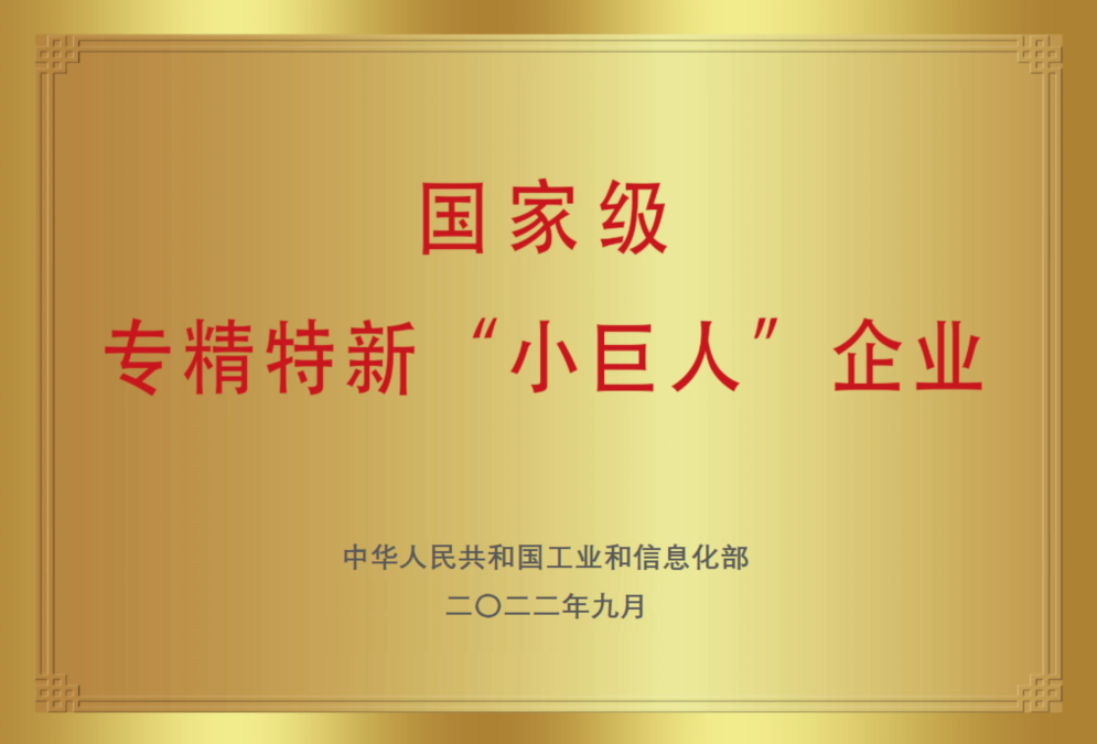 國家級(jí)專精特新小巨人企業(yè)